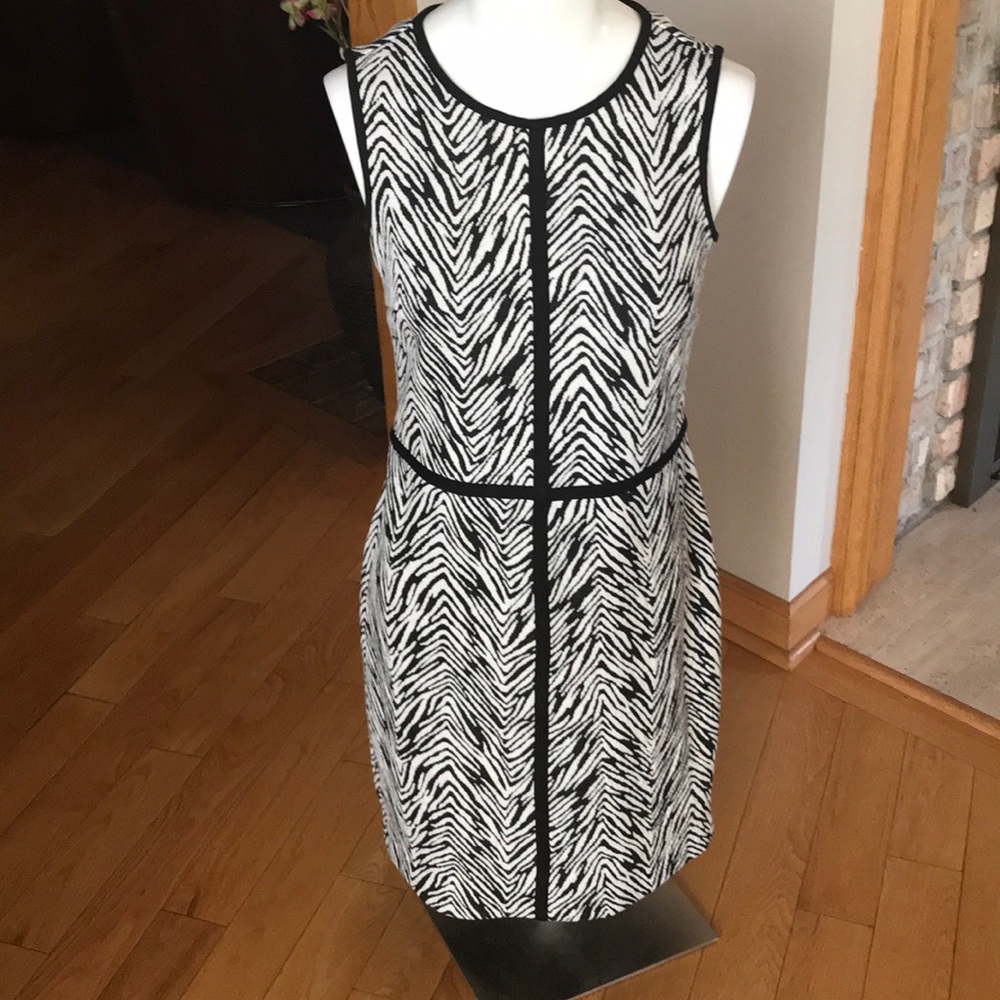 Ann Taylor soft zebra stripped dress